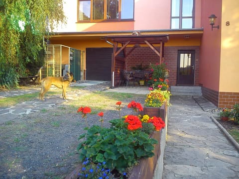 Facade/entrance, Balcony/Terrace