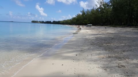 Natural landscape, Beach