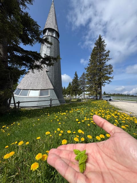 Nearby landmark