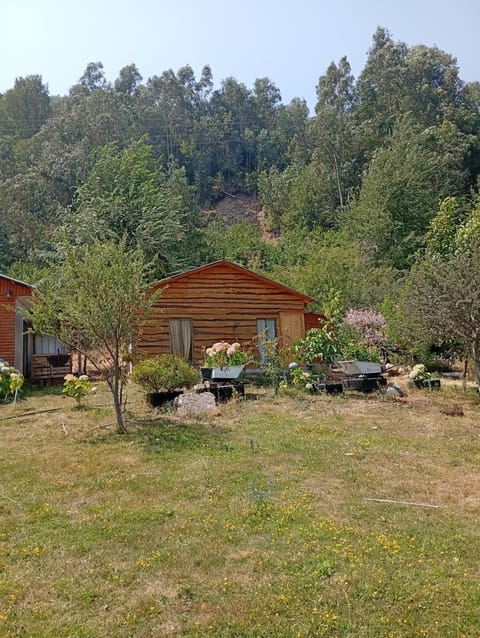 Day, Natural landscape, Garden, Garden view
