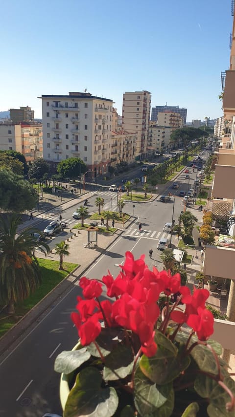 Neighbourhood, View (from property/room), City view, Street view