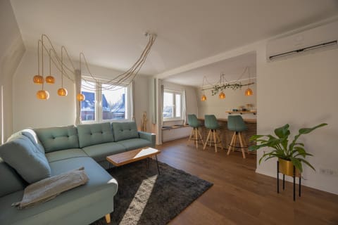 Living room, Seating area, air conditioner