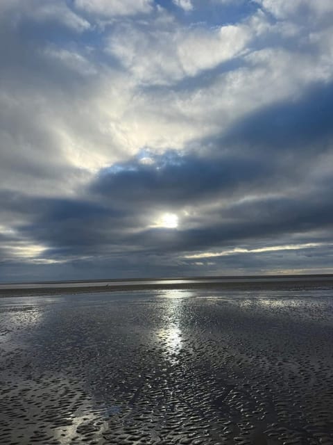 Paws A While Apartment in Southerness