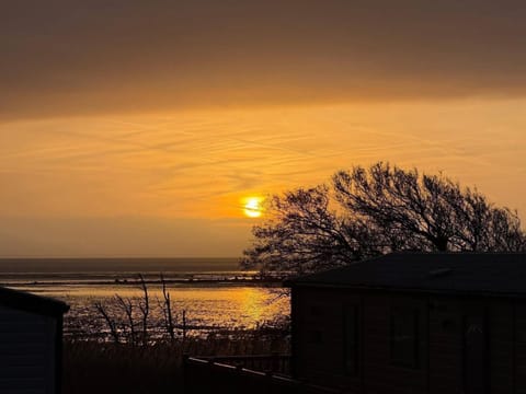 Paws A While Apartment in Southerness