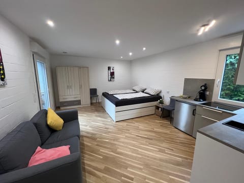 Bed, Living room, Photo of the whole room, Seating area, Bedroom