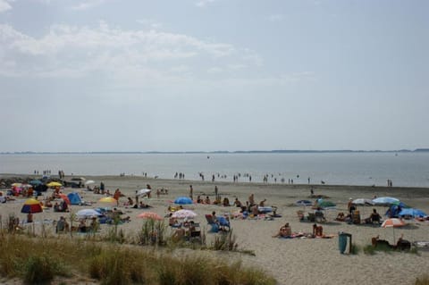 Natural landscape, Beach, Family