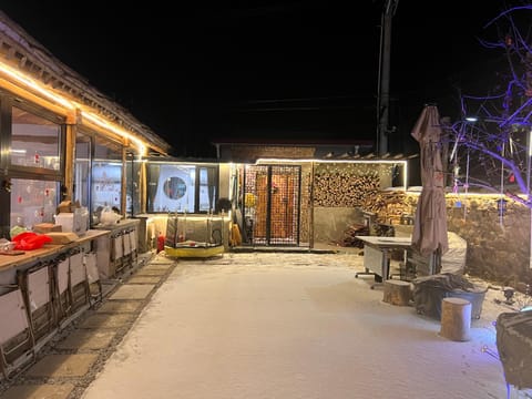 Night, Winter