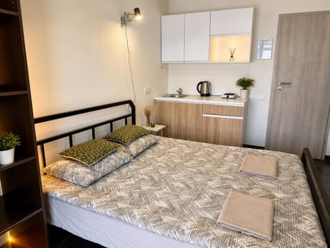 Bed, Kitchen or kitchenette, Photo of the whole room, Bedroom