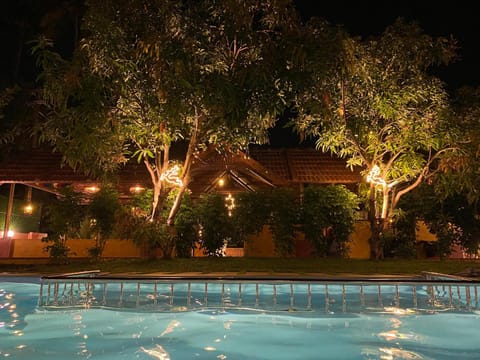 Night, Garden, Pool view