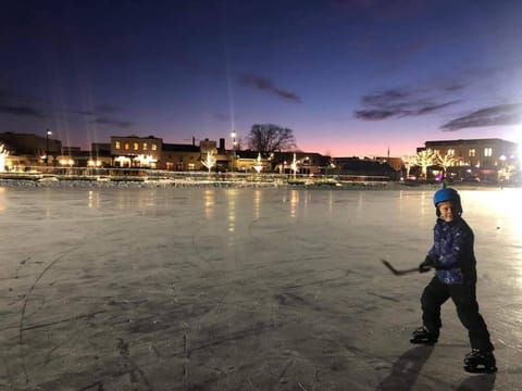 Activities, Winter, Lake view, Seasons