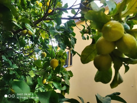 Angolo Azzurro Apartment in Emilia-Romagna