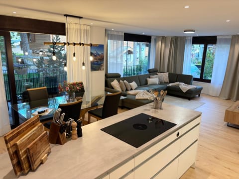 Living room, kitchen