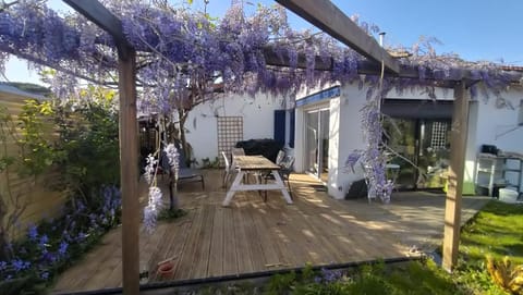 Spring, Balcony/Terrace