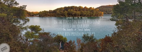 Natural landscape, Snorkeling, Beach, Canoeing, Hiking, Cycling