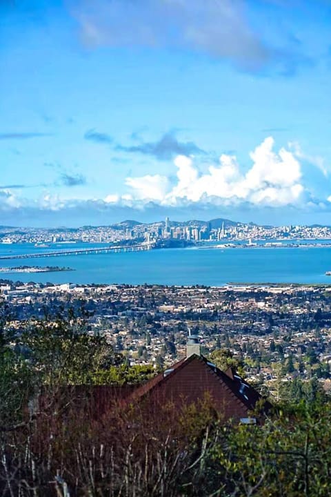 Private Berkeley Hills Studio Suite With Laundry Bed and Breakfast in Berkeley