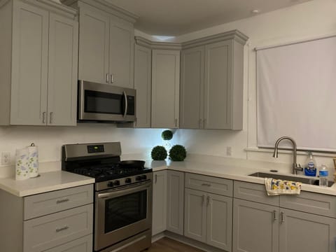 Traditional Nola House in Ninth Ward