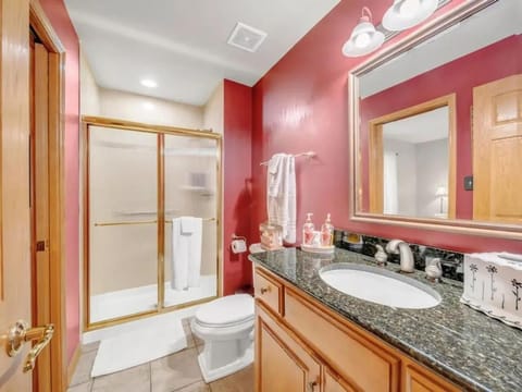 Spacious 6BR Family Home with Pool & Finished Basement House in Orland Park