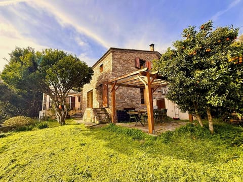 Property building, Spring, Garden view