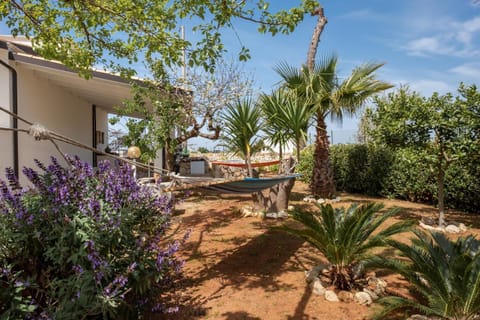Day, Garden, Garden view