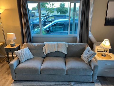 Relaxing Ducks Hang Out Haven 2 bed 1 bath and BBQ Apartment in Springfield