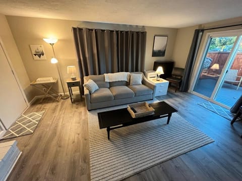 Relaxing Ducks Hang Out Haven 2 bed 1 bath and BBQ Apartment in Springfield