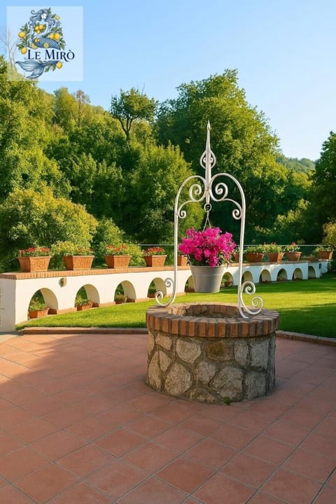 Summer, Garden, Garden, Decorative detail