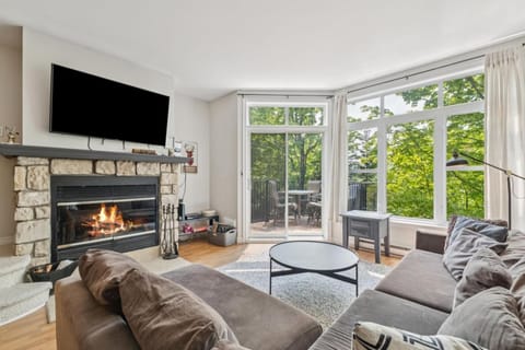 TV and multimedia, Living room, fireplace