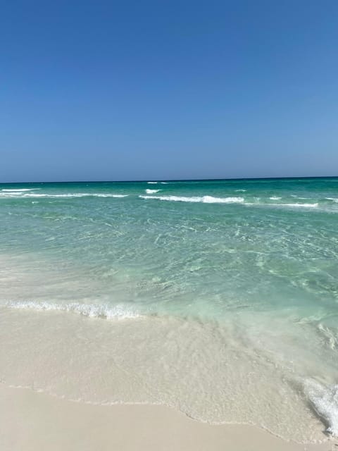 A postcard from Destin Apartment in Miramar Beach