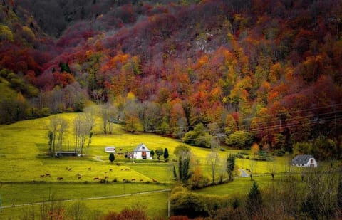 Mountain view