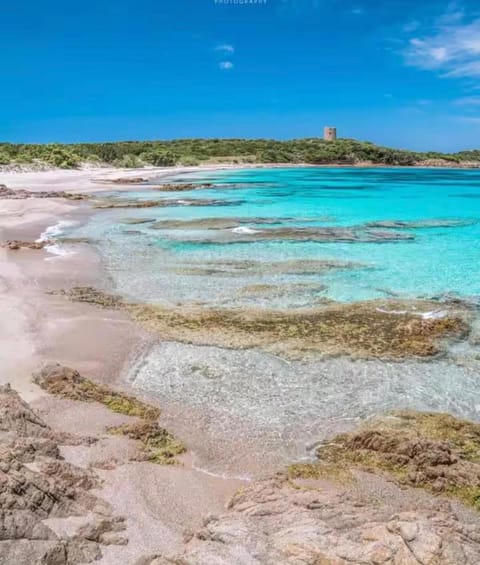 Natural landscape, Beach, Sea view