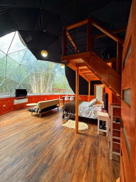 Communal lounge/ TV room, TV and multimedia, View (from property/room), Bedroom