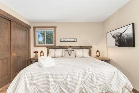 The Pine Getaway on 60 Acres with Hot Tub House in Park County