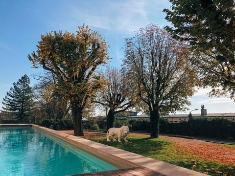 Day, Garden, Garden view, Pool view, Swimming pool