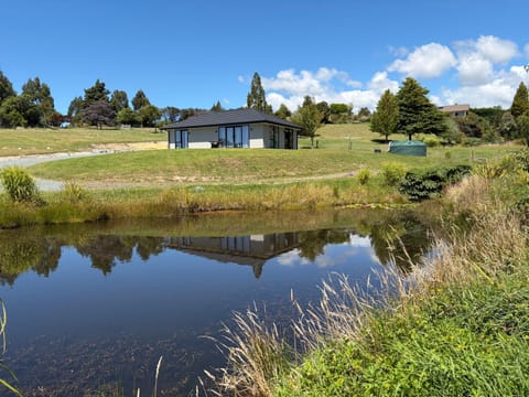 Lake view