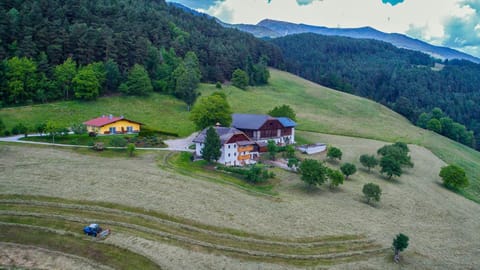 Day, Natural landscape, Bird's eye view, Summer, Garden, Hiking, On site, Mountain view