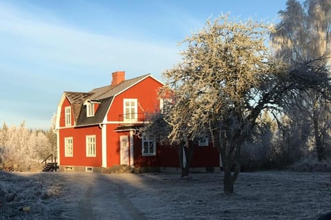 Property building, Facade/entrance, Winter, Garden