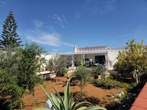 Property building, Spring, Day, Garden, Garden view