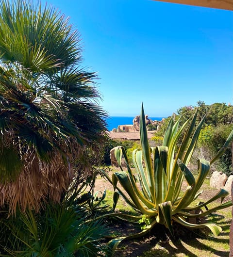 Garden, Garden view, Sea view