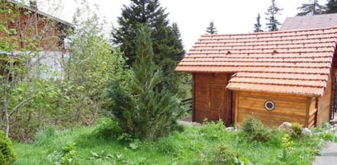 Col de la Faucille Chalet Apartment in Gex