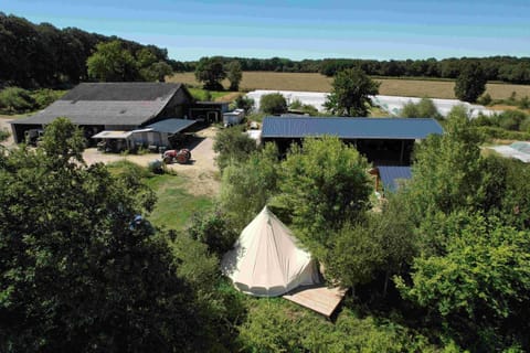 Bird's eye view, Summer