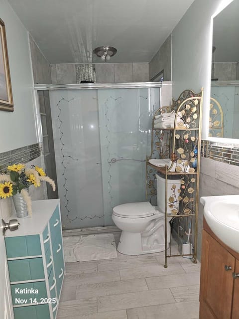 Shower, Toilet, Bathroom, towels
