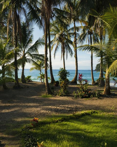 Natural landscape, Garden, Garden, Floor plan, Beach, Garden view, Sea view