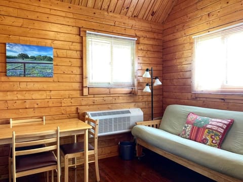 Peaceful Lakefront Cabin with Loft, Beach Access & Sunset Views in Buchanan Dam, Texas Cabin in Lake Buchanan