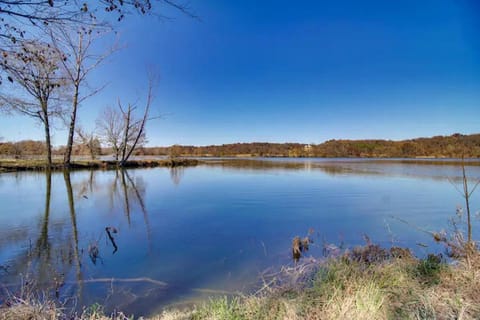 Cozy Studio Retreat with Scenic 5-Acre Views, Near City Lake & Cherokee Casino in Gentry, Arkansas House in Arkansas