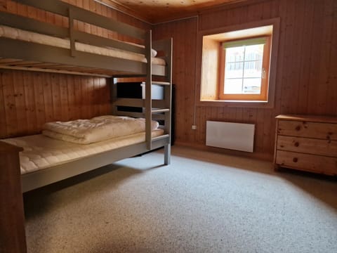 Photo of the whole room, Bedroom, bunk bed