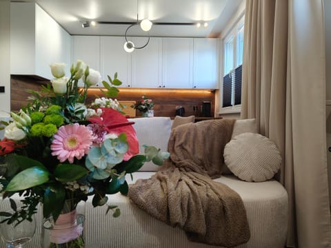 Bed, Living room, Photo of the whole room, Seating area