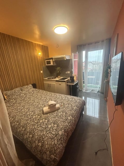 Bed, TV and multimedia, Kitchen or kitchenette, Photo of the whole room, Bedroom, towels