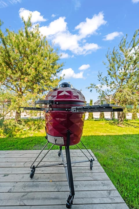 Dunique Summer House in Palanga