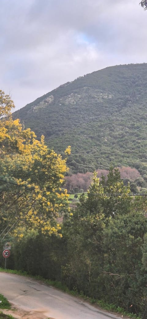 Natural landscape, Mountain view