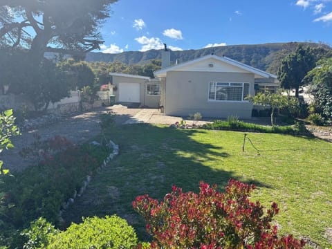 Garden, Mountain view